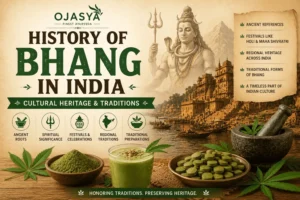 History of Bhang in India cultural heritage and traditional festivals